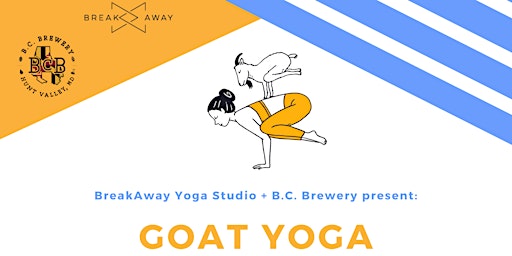 Goat Yoga at B.C. Brewery provided by BreakAway Yoga