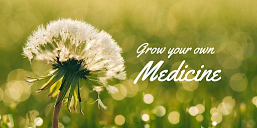Hauptbild für Starting your Own Medicinal Herb Garden
