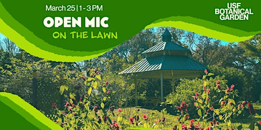 Open Mic on the Lawn