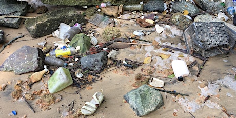 Marine trash sampling at Pulau Ubin on 08 July 2018 (Sun)