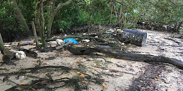 Marine trash sampling at Lim Chu Kang Mangrove on 21 July 2018 (Saturday)
