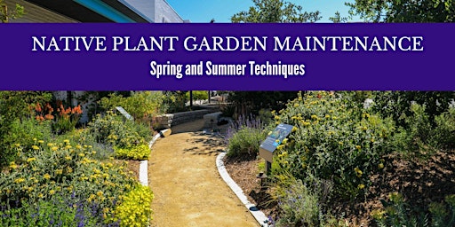 Native Plant Garden Maintenance - Spring and Summer Techniques