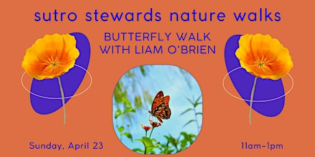 Mount Sutro Nature Walks: Butterfly Walk with Liam O'Brien