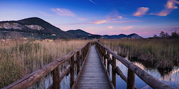 Il Parco di San Rossore - The Park of San Rossore