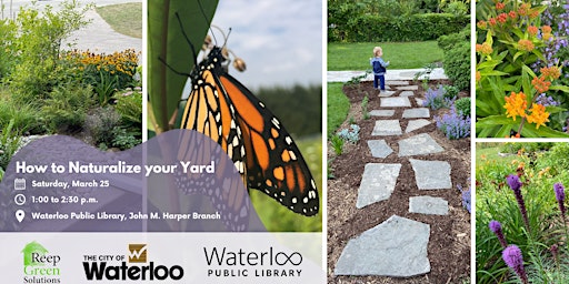 How to Naturalize your Yard