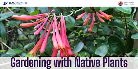 Gardening with Native Plants - On Zoom