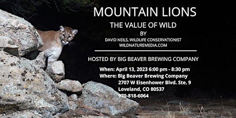 Mountain Lion-The Value of Wild
