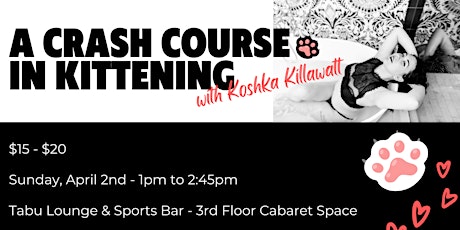 A Crash Course in Kittening with Koshka Killawatt