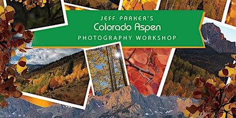 Colorado Autumn Aspen ~ Photo Tour