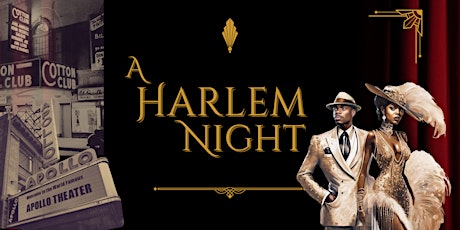A Harlem Night