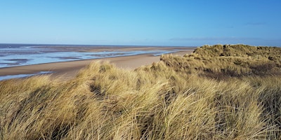 Imagem principal do evento NWT Holme Dunes walk with the warden