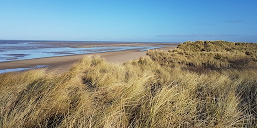 Primaire afbeelding van NWT Holme Dunes walk with the warden