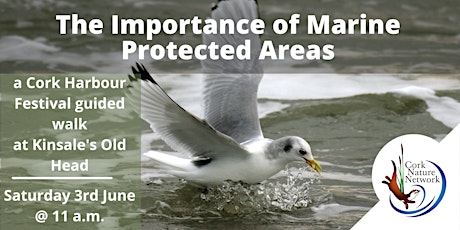 The Importance of Marine Protected Areas