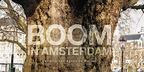 Greendocs: Boom in Amsterdam
