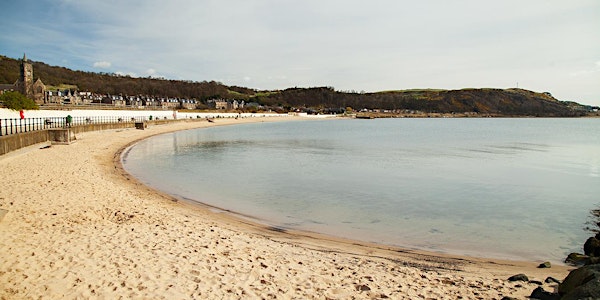 Access All Areas - Burntisland Big Beach Clean!