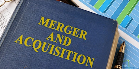 WEB 3030 Mergers and Acquisitions (Webinar)