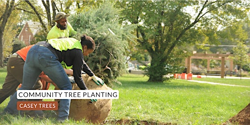 Community Tree Planting: Royal Courts Apartments