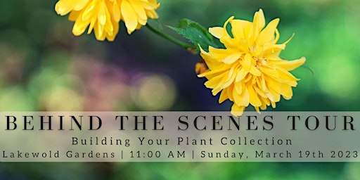 Behind the Scenes Tour: Building Your Garden Collection primary image