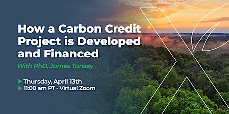 How a Carbon Credit Project is Developed and Financed