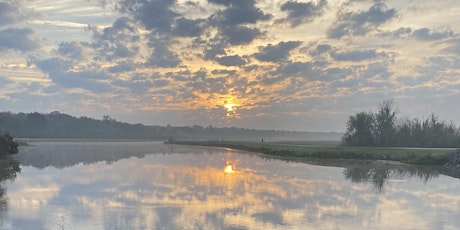 Sunrise Walks at Sweetwater Wetlands  Park