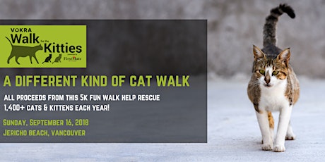 VOKRA Walk for the Kitties 2018 primary image