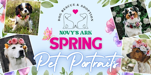 Spring Pet Portait Day