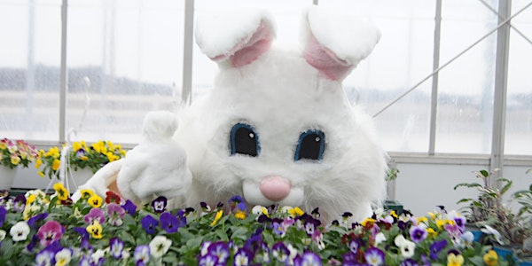 Easter Bunny Breakfast Planters & Photo Opportunity with Easter Bunny