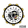 Logotipo de Grupo Pantera Capoeira