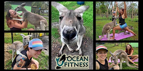 Kangaroo Yoga Fun at Tree House Farm!!
