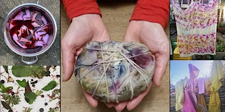 Immagine principale di Nature's Palette: Natural Dye Weekend with Deborah Manson 