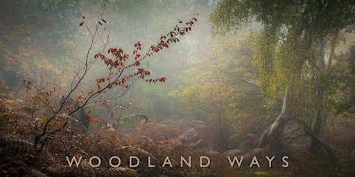 Imagem principal de PHOTOGRAPHY TALK: Woodland Ways, with Paul Mitchell