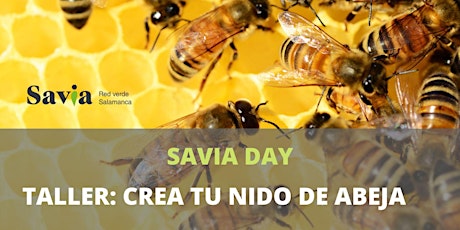 Imagen principal de Taller: Crea tu nido de abeja