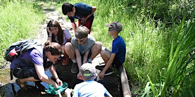 Hauptbild für Outdoor Adventure Camp