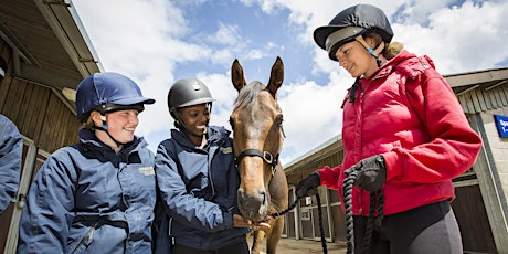 Sparsholt Open Evening - Wednesday 3 May 2023 - Equine primary image