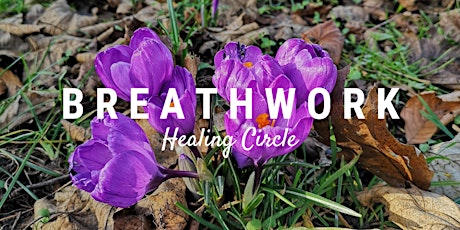 Breathwork Healing Circle • Online