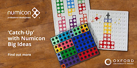 'Catch-Up' with Numicon Big Ideas Summer 2024 (Remote Training)