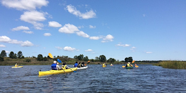 Kayak Tour