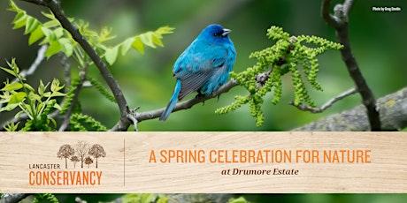 A Spring Celebration for Nature