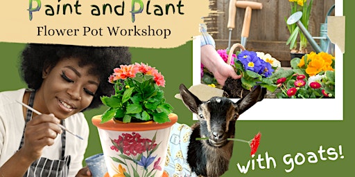 Paint & Plant a Flower Pot Workshop with Goats primary image