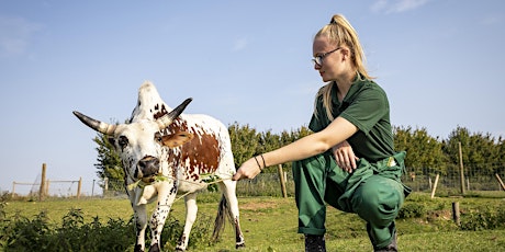 Sparsholt Open Evening - Wednesday 3 May 2023 - Animal Studies primary image