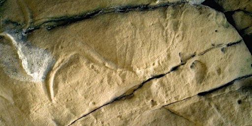 Rock Art and Archaeology at Creswell Crags and Beyond: a series of talks