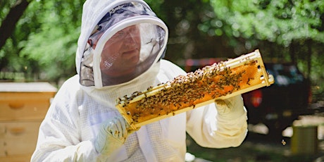Coffee & Conversation Series: Beekeeping in Your Backyard