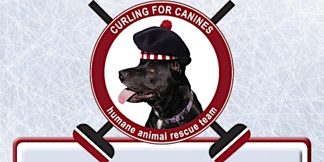 Curling for Canines