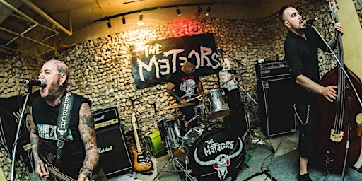 The Meteors primary image