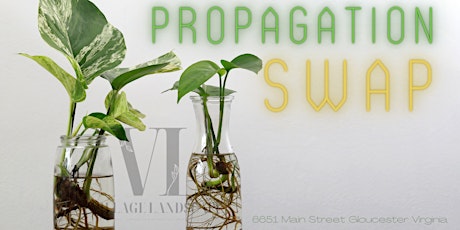 Propagation Swap