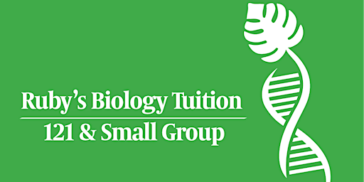 Small Group AQA GCSE Biology Tuition