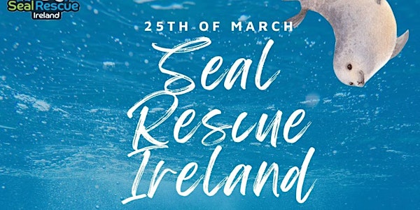 Irish Seal Rescue Trip