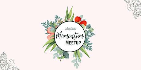 Plexus Momentum Meetup