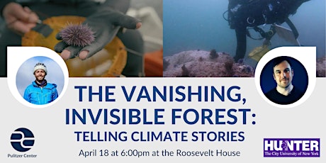 The Vanishing,  Invisible Forest:  Telling Climate Stories