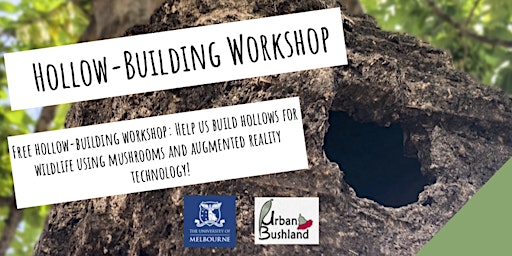 Free hollow-building workshop: Help us build hollows for wildlife!